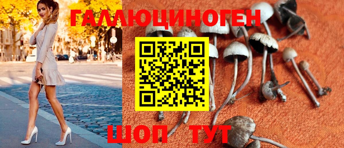 Псилоцибиновые грибы мицелий  Вход с VPN  где продают   Жигулёвск 