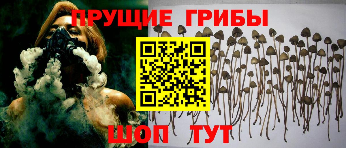Псилоцибиновые грибы MAGIC MUSHROOMS Жигулёвск